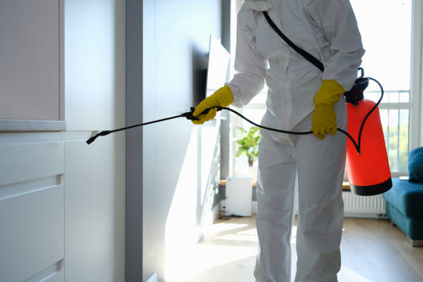 Mold Testing and Removal in Gamerco, NM