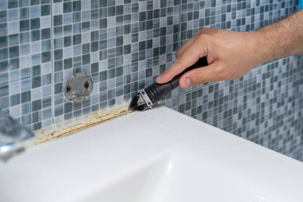 Professional Mold Removal in Gamerco, NM